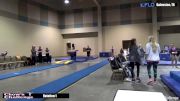 Emma Brown - Vault, Chow - 2017 Chow’s Challenge