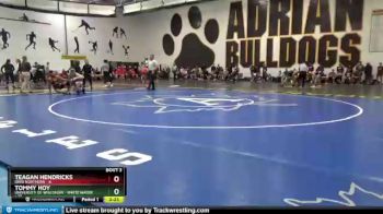 165 lbs Round 1 (8 Team) - Teagan Hendricks, Ohio Northern vs Tommy Hoy, University Of Wisconsin - White Water