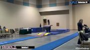 Trinity Brown - Vault, Silver Stars - 2017 Chow’s Challenge