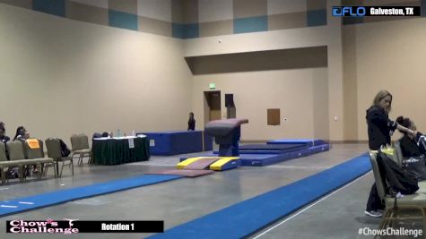 Trinity Brown - Vault, Silver Stars - 2017 Chow’s Challenge