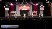 Southern Cheer Allstars - Neon [2025 L1 Youth - Flex - D2 - Small Day 2] 2025 ASC Battle Under the Big Top Grand Nationals