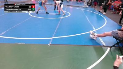 85 lbs 2nd Place Match - Barrett Luebs, Boneyard Wrestling Academy vs Zabdiel Charles, Texas Style Wrestling Club