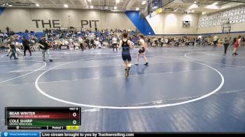 103 lbs Quarterfinal - Bear Winter, Sanderson Wrestling Academy vs Cole Sharp, Uintah Wrestling