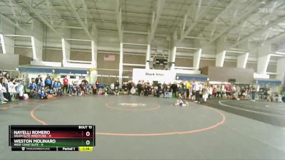 45 lbs Quarters & Wb (16 Team) - Nayelli Romero, Salem Elite Wrestling vs Weston Molinaro, West Coast Elite