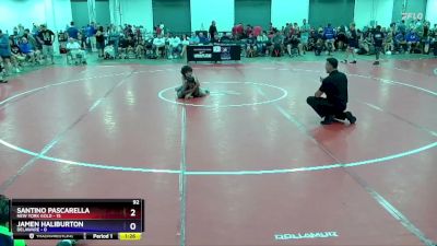 92 lbs Round 1 (8 Team) - Santino Pascarella, New York Gold vs Jamen Haliburton, Delaware