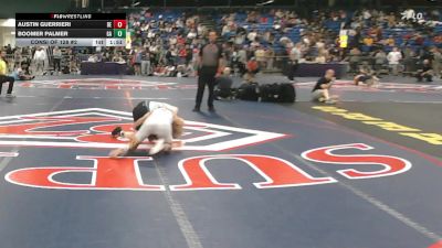 126 lbs Consi Of 128 #2 - Austin Guerrieri, DE vs Boomer Palmer, GA