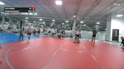 72 lbs Finals (2 Team) - Gavin Petraglia, CTWHALE ORCA vs Jack Niebel, Steller Trained Fett