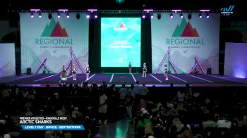 Premier Athletics - Knoxville West - Arctic Sharks [2025 L1 Tiny - Novice - Restrictions Day 1] 2025 The Southeast Regional Summit