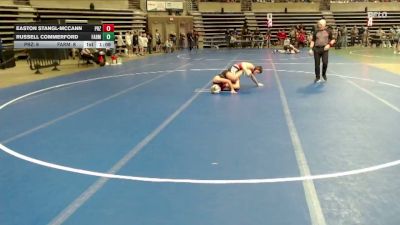 115 lbs Semis & 1st Wrestleback (8 Team) - Russell Commerford, Farmington vs Easton Stangl-McCann, Pierz