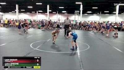 44 lbs Round 3 (6 Team) - Liam Diodati, CTWHALE vs Luca Simeone, Revolution