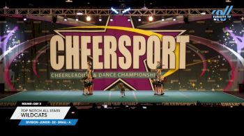 Top Notch All Stars - Wildcats [2025 L1 Junior - D2 - Small - A Day 3] 2025 CHEERSPORT National All Star Cheerleading Championship