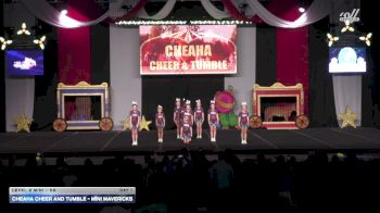 Cheaha Cheer and Tumble - Mini Mavericks [2025 L2 Mini - D2 Day 1] 2025 ASC Battle Under the Big Top Grand Nationals