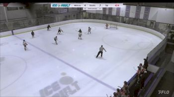 Replay: Home - 2024 Wildcats U12AA vs Bandits Grey U12 | Feb 4 @ 10 AM