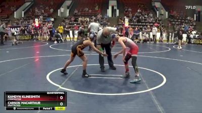 82 lbs Quarterfinal - Kamdyn Klinesmith, Constantine vs Carson MacArthur, Unattached