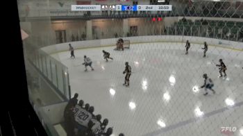 Replay: Home - 2024 Brandon U18 AAA vs Norman U18 AAA | Feb 11 @ 1 PM