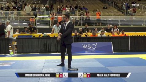 Adalia Malis Rodriguez vs Jamileh Dominica M. Wing 2025 Pan Kids Jiu-Jitsu IBJJF Championship
