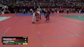 D2-285 lbs Champ. Round 1 - Wellington Lowe, Trotwood-Madison vs Alistair Larson, Woodridge