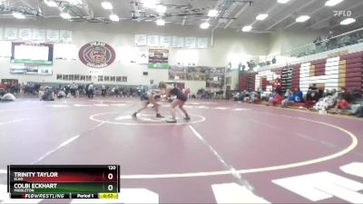 120 lbs Cons. Round 4 - Colbi Eckhart, Middleton vs Trinity Taylor, Elko