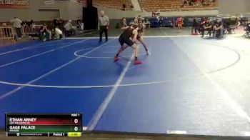 D3-113 lbs Champ. Round 1 - Ethan Arney, Lee Williams HS vs Gage Palace, Payson