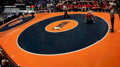 113 lbs Quarterfinals (8 Team) - Paxton Pyatt, Murphysboro vs Austin Hagevold, Woodstock (Marian)