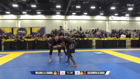 Julio Olimpio M. De Araujo vs William A. R. Chubbs 2024 World IBJJF Jiu-Jitsu No-Gi Championship