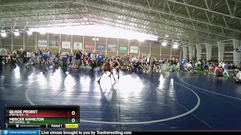 92 lbs Round 3 (4 Team) - Quade Probst, Utah Black vs Mercer Hamilton, Mat Demons