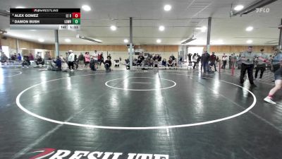 145 lbs Consolation - Alex Gomez, Le Raysville vs Damon Bush, Lowville