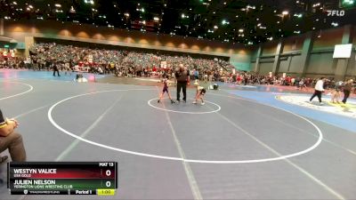 53-56 lbs Round 3 - Julien Nelson, Yerington Lions Wresting Club vs Westyn Valice, USA Gold