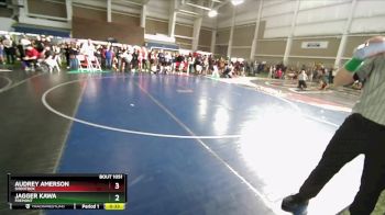 54 lbs Semifinal - Jagger Kawa, Fremont vs Audrey Amerson, Shootbox