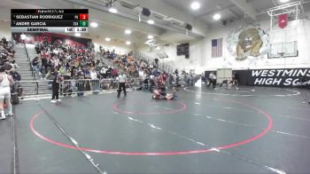 138 lbs Semifinal - Sebastian Rodriguez, Palm Desert vs Andre Garcia, Savanna