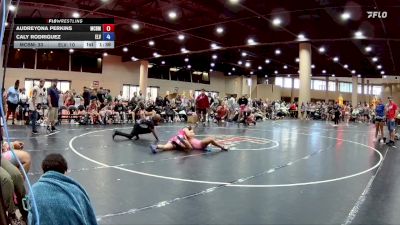 130 lbs Round 3 (4 Team) - Audreyona Perkins, Mat Clash Beast Mode vs Caly Rodriguez, Elevation WC