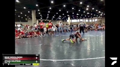 100 lbs Round 2 (6 Team) - Ethan Halstead, RWA vs Bear Wesolowski, Panhandle Punishers