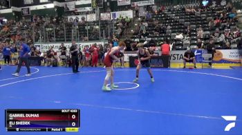 117 lbs Round 5 - Gabriel Dumas, ND vs Eli Shedek, IA