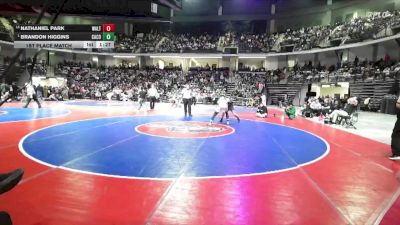 144-6A 1st Place Match - Brandon Higgins, Camden County vs Nathaniel Park, Walton