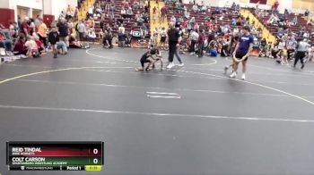 52 lbs Cons. Round 3 - Reid Tindal, Dixie Hornets vs Colt Carson, Spartanburg Wrestling Academy