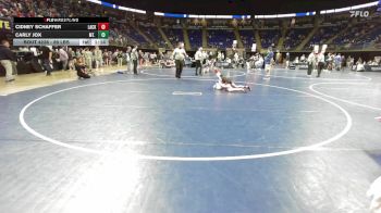 89 lbs Consy 6 - Cidney Schaffer, Lackawanna Trail vs Carly Jox, Mt. Lebanon