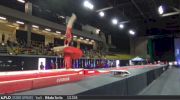 Marin Mune - Vault, Japan - 2017 International Gymnix - Junior Cup