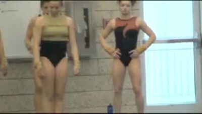 Michelle Stout Vault