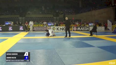 Nathan Hamberg vs Andrew Wiltse Pan Jiu-Jitsu IBJJF Championship