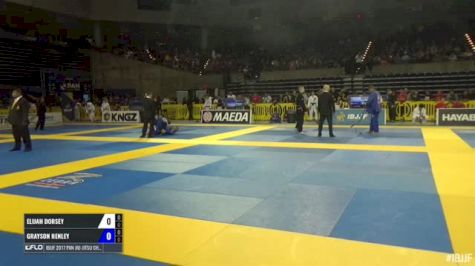 GRAYSON HENLEY vs ELIJAH DORSEY IBJJF 2017 Pan Jiu-Jitsu Championship