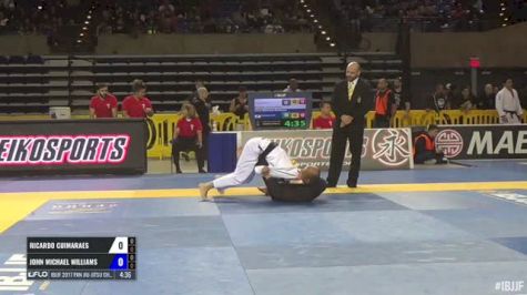 Ricardo Guimaraes vs John Michael Williams IBJJF 2017 Pan Jiu-Jitsu Championship