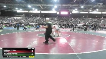 235 lbs Quarterfinal - Dallas Clark, Madison vs Madison Meyer, Baker/Powder