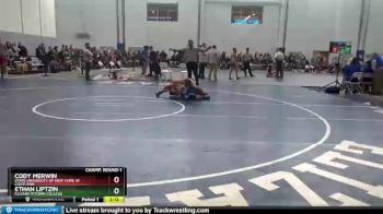 125 lbs Champ. Round 1 - Ethan Liptzin, Elizabethtown College vs Cody Merwin, State University Of New York At Cortland