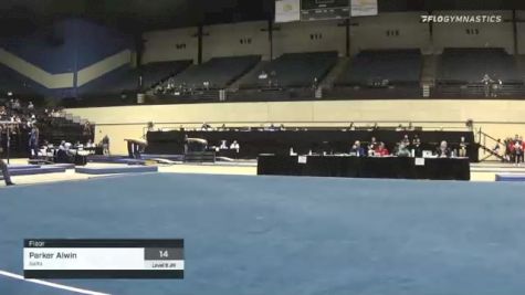 Parker Alwin - Floor, Salto - 2021 USA Gymnastics Development Program National Championships