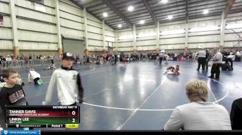 115 lbs Quarterfinal - Linkin Lee, Westlake vs Tanner Davis, Sanderson Wrestling Academy