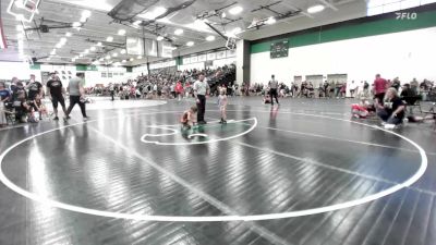 45 lbs Round 3 - Rose Davidson, Slyfox Wrestling Academy vs Piper Baumann, Excelsior Springs Wrestling