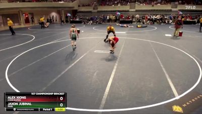 107 Championship Bracket Cons. Round 3 - Jaxon Jubinal, Park vs Alex Xiong, Coon Rapids