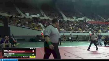 D3-215 lbs Cons. Round 3 - Elijah Lynn, Moon Valley vs Vole Tei, American Leadership Gilbert North