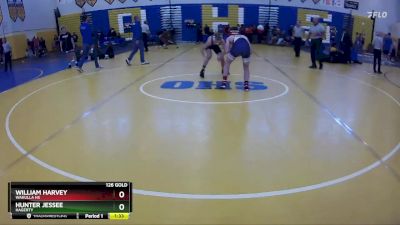 126 Gold Round 4 - Hunter Jessee, Hagerty vs William Harvey, Wakulla Hs