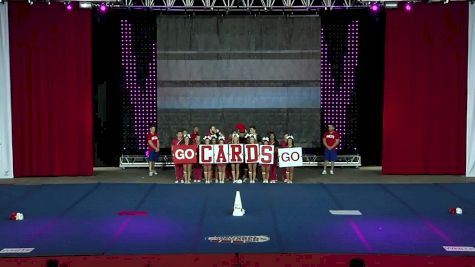 Trinity Valley Community College [Junior College Cheer Prelims - 2017 NCA & NDA Collegiate Cheer and Dance Championship]